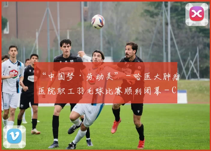 “中国梦·劳动美” - 哈医大肿瘤医院职工羽毛球比赛顺利闭幕 - Copy