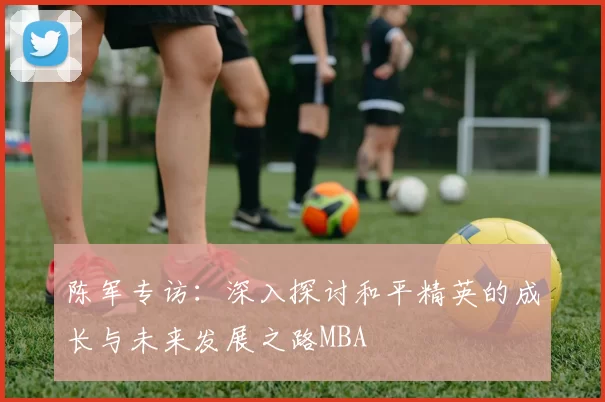 陈军专访：深入探讨和平精英的成长与未来发展之路MBA