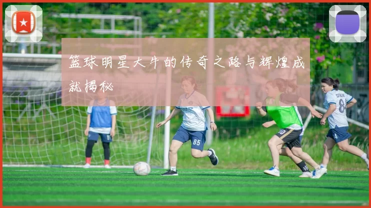 篮球明星大牛的传奇之路与辉煌成就揭秘