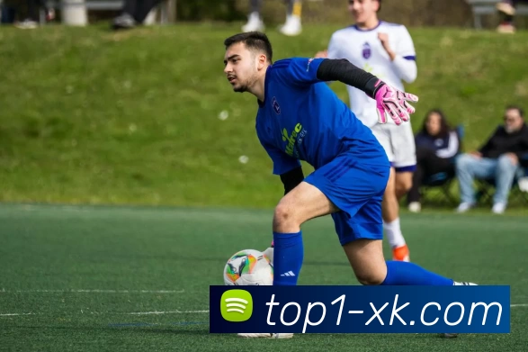 xk星空官网平台生态图