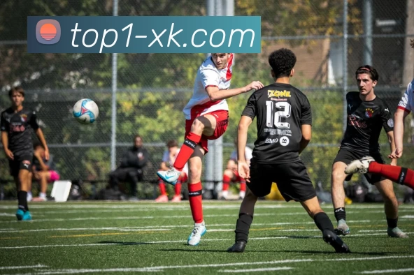 xk星空官网服务体系