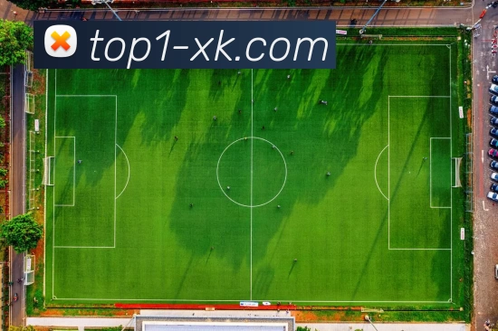 xk星空官网APP 封面图